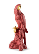 Macaw Bird Sculpture, Red/Gold - Limited Edition